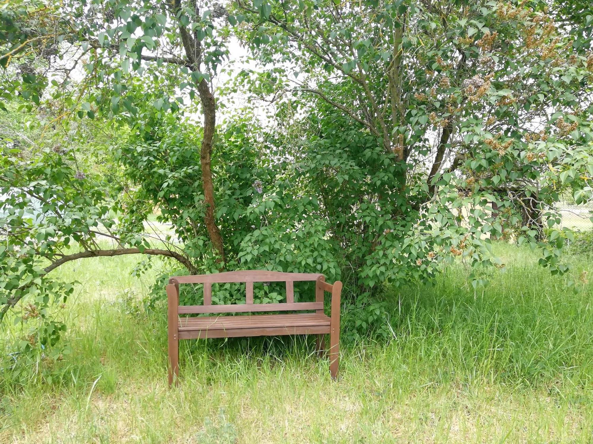 Ehemalige Bibliothek Apartment Fuer 2 Mit Kueche Kamin Netflix Parken Und Hofladen Steinhofel 外观 照片